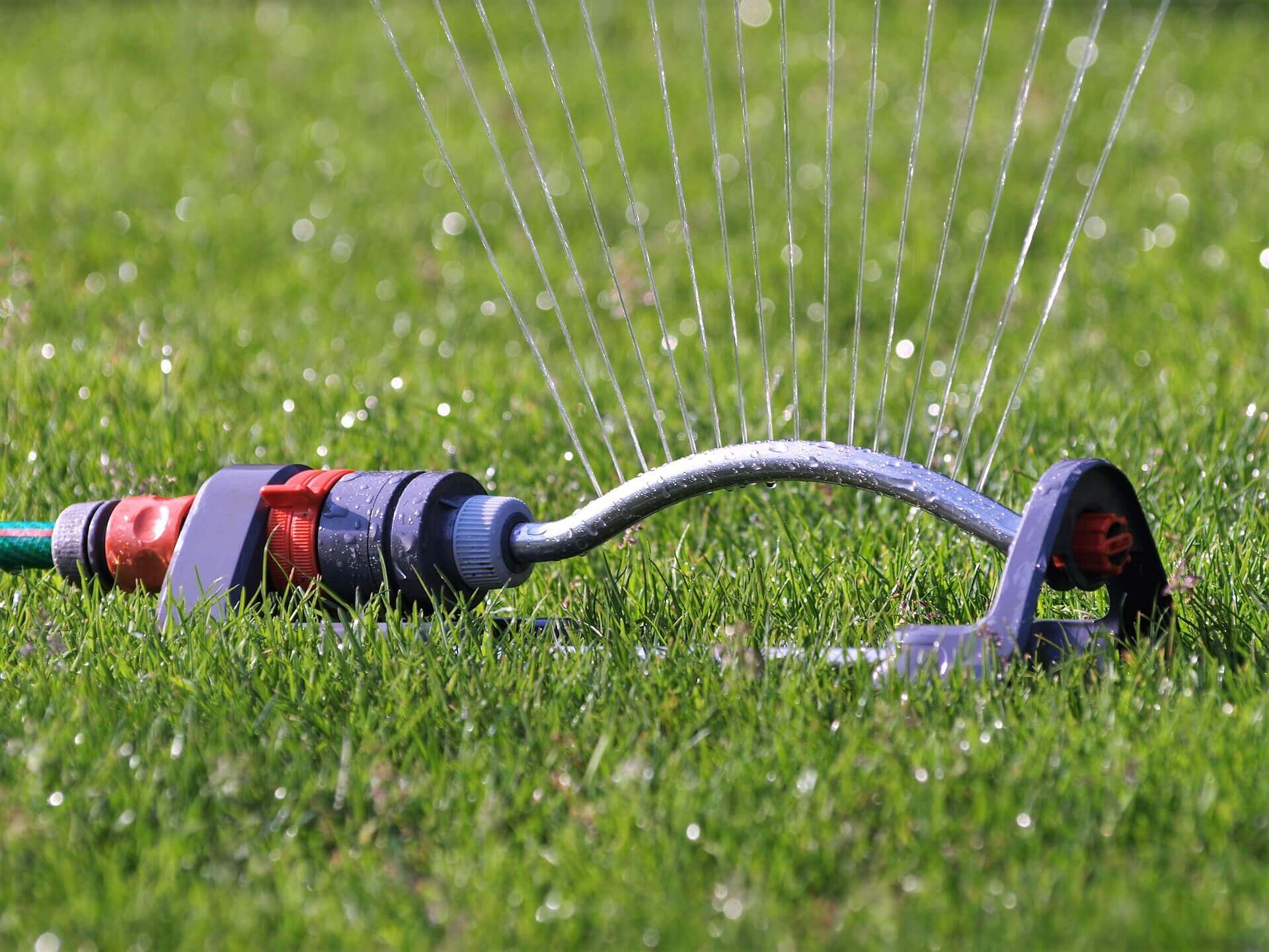 A Sprinkler On A Freshly Mowed Grass In A Marietta Home. A Sprinkler On A Freshly Mowed Grass In A Marietta Home.