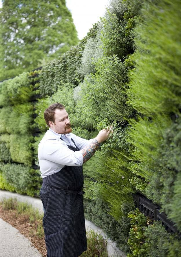 An Expert In Vertical Landscaping In Atlanta An Expert In Vertical Landscaping In Atlanta