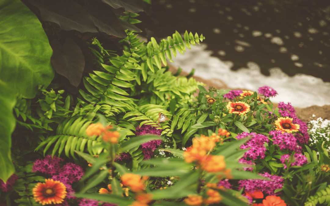 Blog 1 The Top 10 Landscaping Companies In Atlanta, Georgia (Reviews/Ratings)