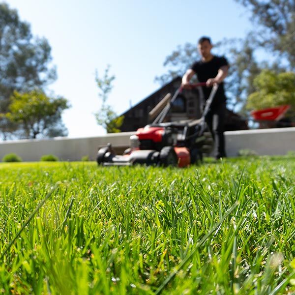 An Expert Landscaper Mowing A Grass In Marietta An Expert Landscaper Mowing A Grass In Marietta